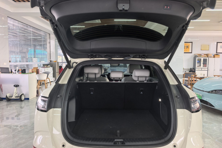 BYD Sea Lion 06 New Energy 2025 car image #22