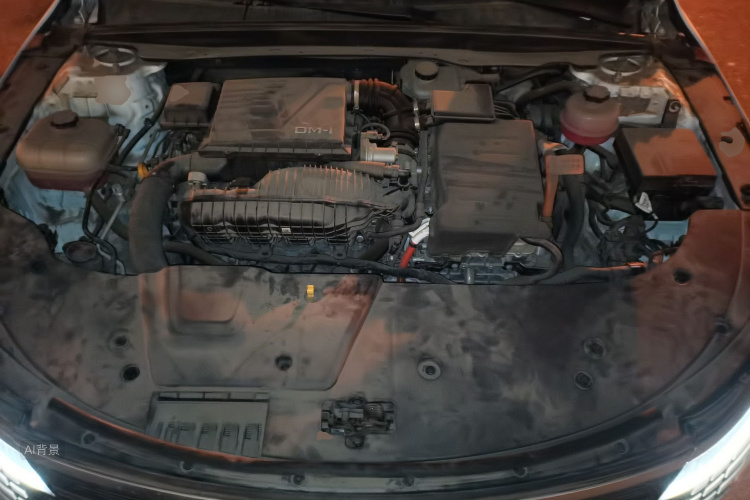 BYD Destroyer 05 2023 car image #22