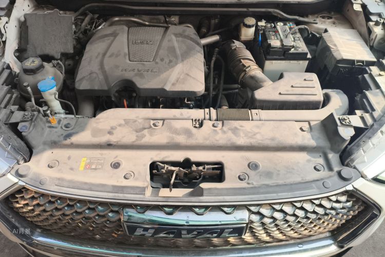 Haval Jolion 2021 car image #22