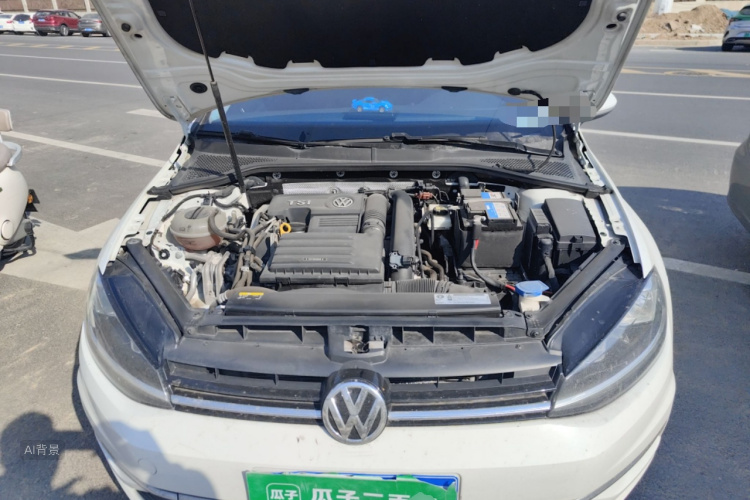 Volkswagen Golf 2018 car image #22