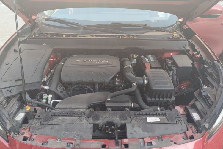 T5 EVO 2021 car image #22
