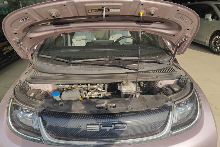 BYD Dolphin 2023 car image #22
