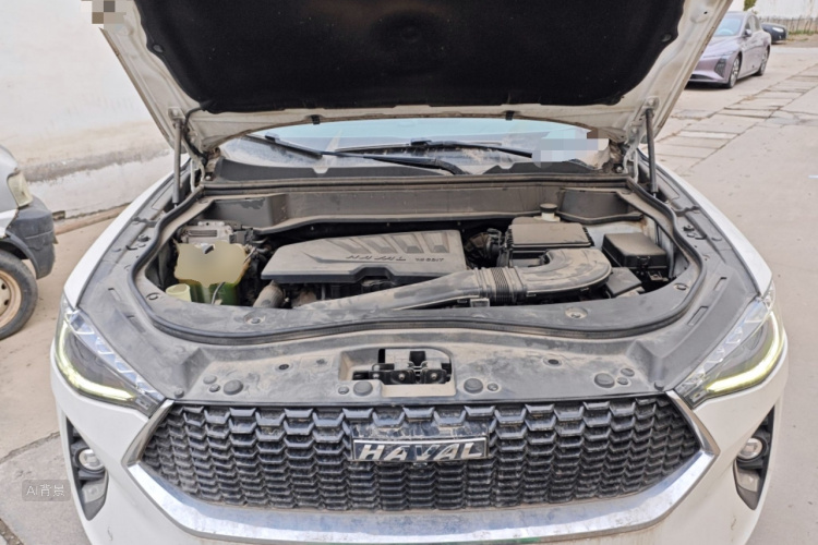 Haval 2019 #22 Haval 2019 car image #22