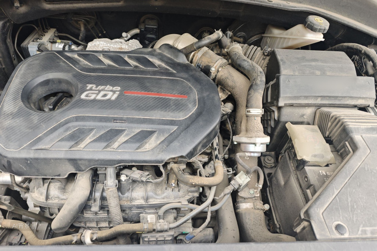 Hyundai Santa Fe 2022 imagen de coche #22