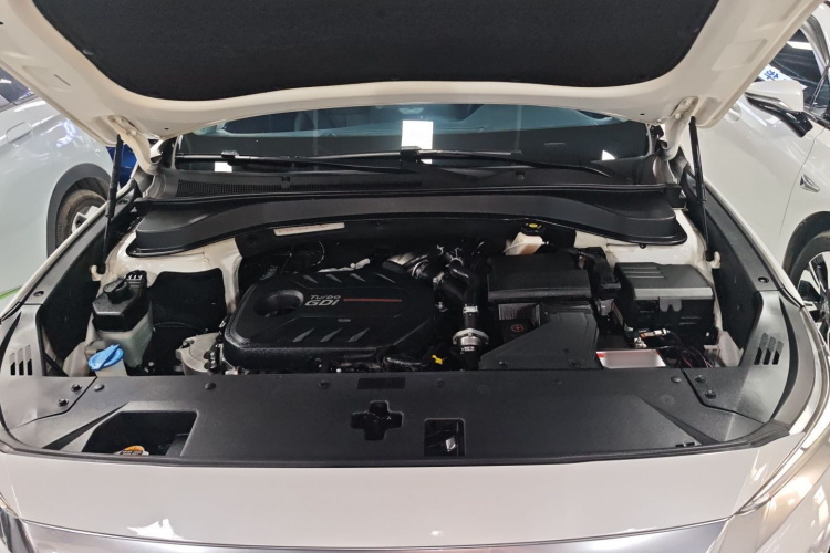 Hyundai Santa Fe 2022 car image #22