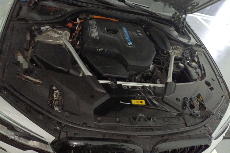 BMW 5 Series New Energy 2020 car image #22