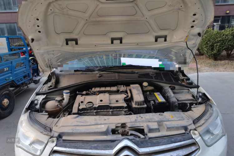 Citroen C-Elysée 2017 car image #22