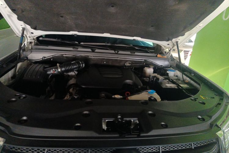 Great Wall Poer 2020 #22 Great Wall Poer 2020 immagine di auto #22