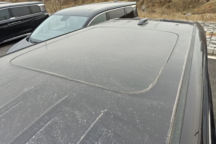 HongQi HQ9 PHEV 2024 #22 HongQi HQ9 PHEV 2024 immagine di auto #22