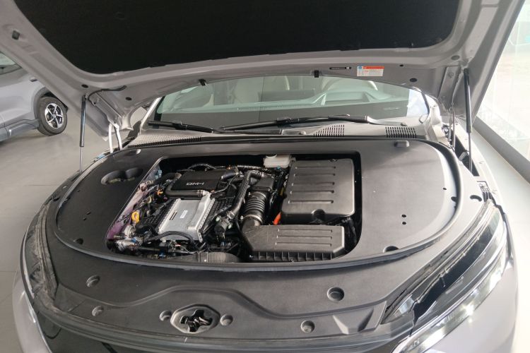 BYD Han 2024 صورة سيارة #22