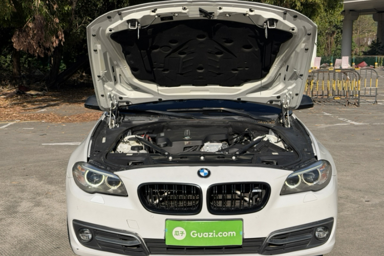 BMW 5 Series 2014 car image #22
