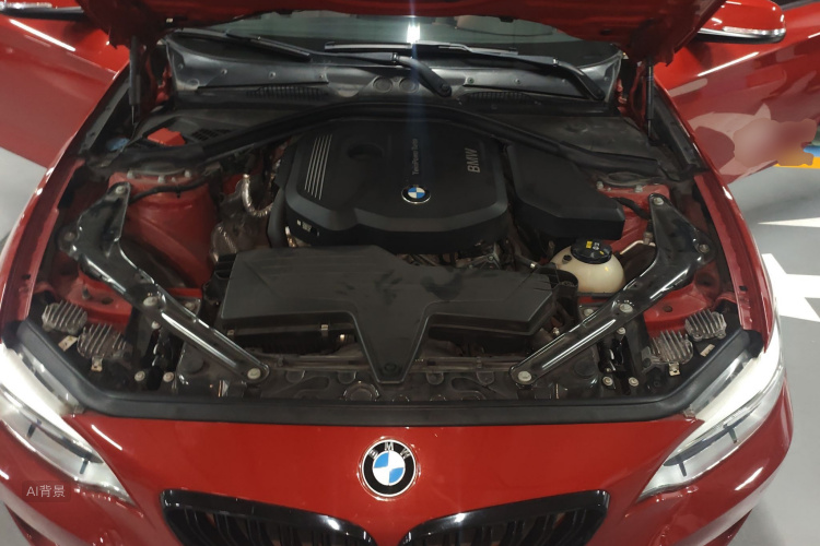 BMW 2 Series (Imported) 2017 imagen de coche #22