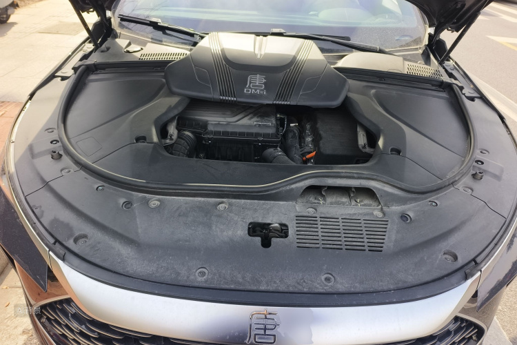 BYD Tang New Energy 2024 #22 BYD Tang New Energy 2024 car image #22