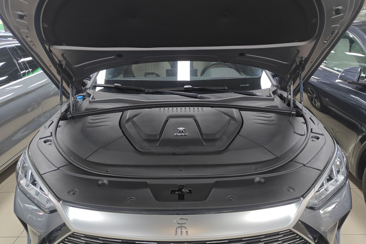 BYD Song Plus New Energy 2021 car image #22