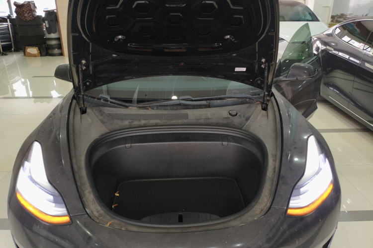 特斯拉 Model 3(进口) 2019 汽车图片 #22