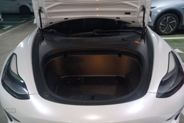 Tesla Model 3 2021 #22 Tesla Model 3 2021 car image #22