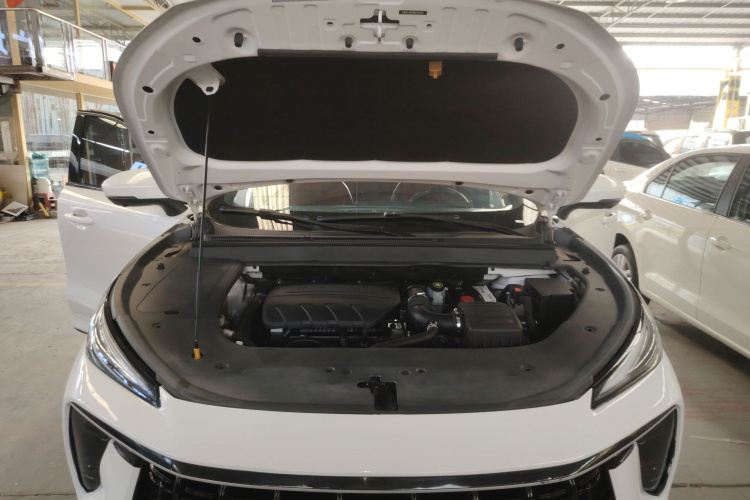 T5 EVO 2021 car image #22