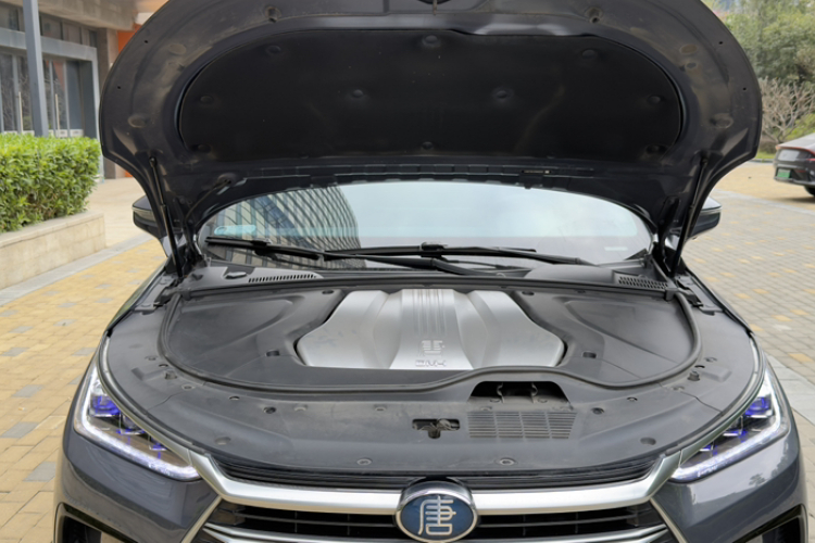 BYD Tang New Energy 2022 car image #22