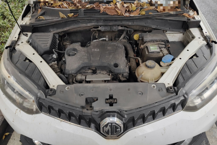 MG GS 2015 #22 MG GS 2015 car image #22