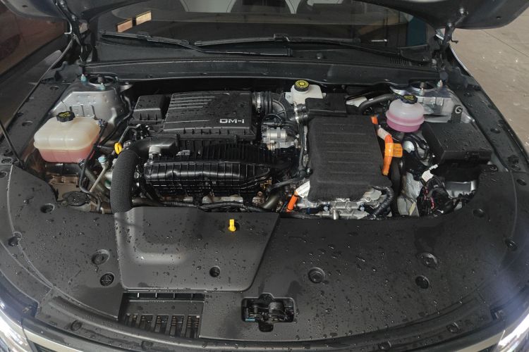 BYD Destroyer 05 2024 صورة سيارة #22