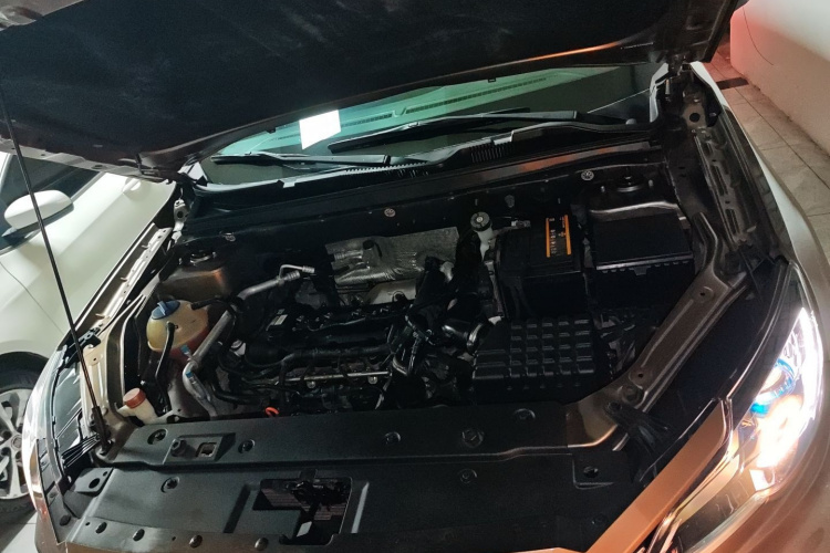 X70M 2020 car image #22