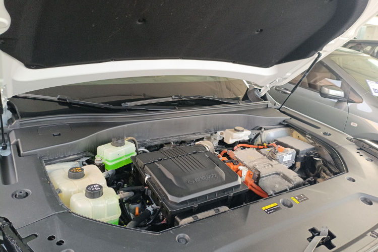 GAC Trumpchi ES9 2023 car image #22