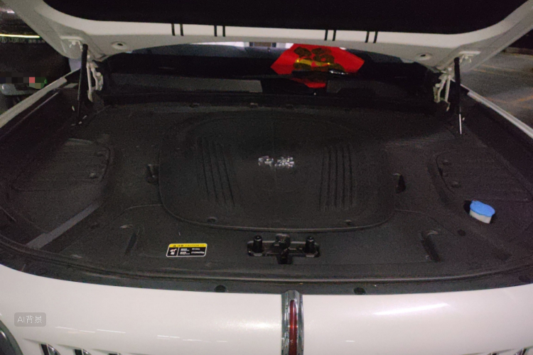 HongQi E-HS9 2022 car image #22