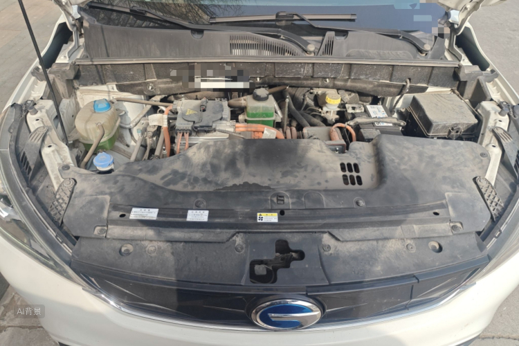 GAC Qizhi EV 2019 car image #22