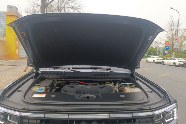 FangChengBao Leopard 5 2024 car image #22