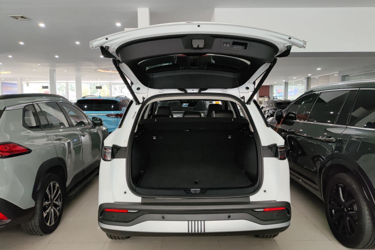 BYD Sea Lion 05 DM-i 2025 car image #22