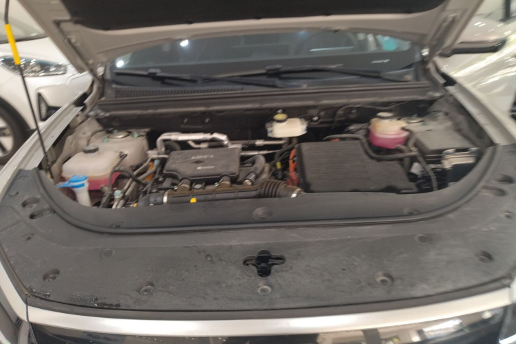 BYD Sea Lion 05 DM-i 2025 image de voiture #22