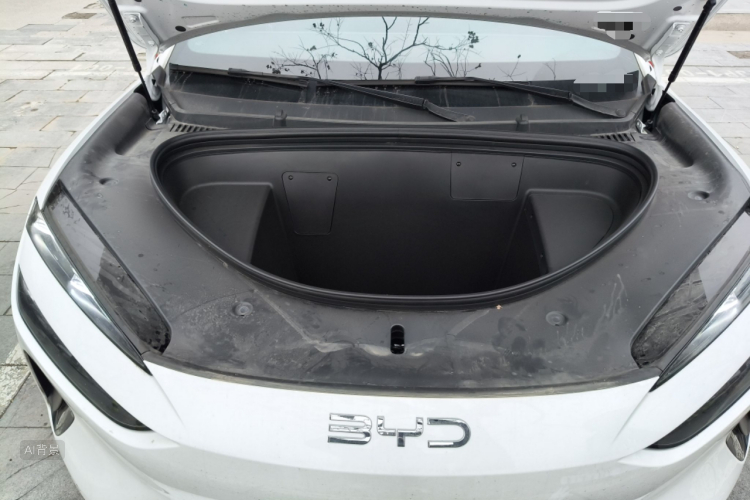 BYD Sea Lion 06 New Energy 2025 car image #22