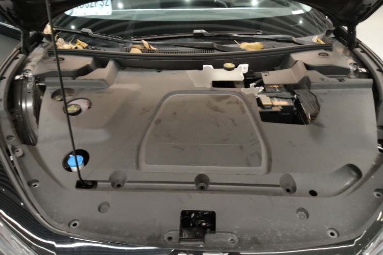 Xpeng MONA M03 2024 #22 Xpeng MONA M03 2024 car image #22