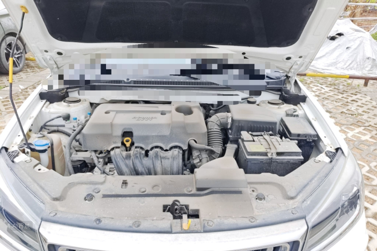 Emgrand 2019 car image #22