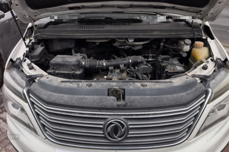 Forthing Lingzhi 2017 car image #22