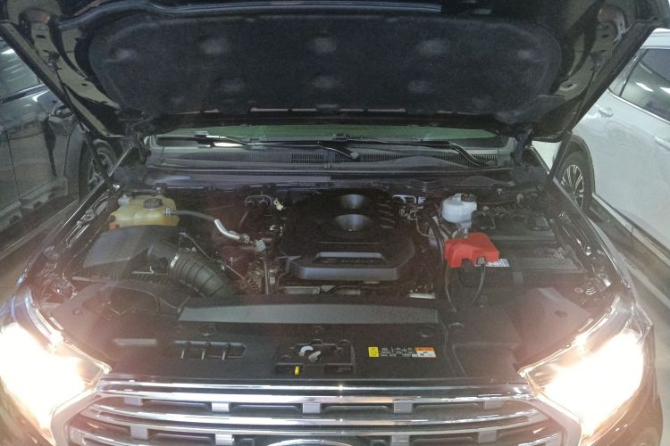 Ford Everest 2020 imagen de coche #22