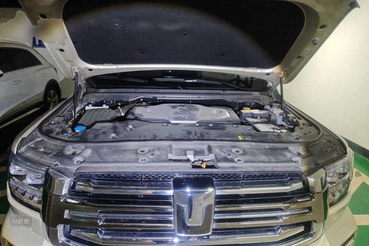 Tank 500 2023 immagine di auto #22