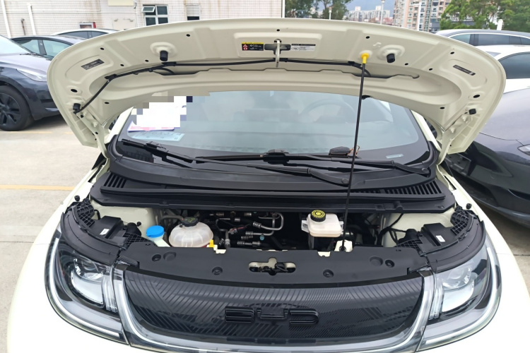 BYD Dolphin 2024 car image #22