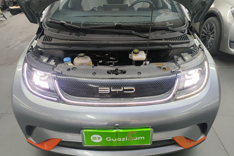 BYD Dolphin 2022 #22 BYD Dolphin 2022 car image #22