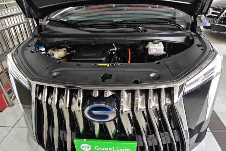 GAC Trumpchi M8 2023 car image #22