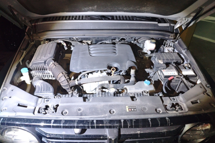 Tank 300 2021 immagine di auto #22