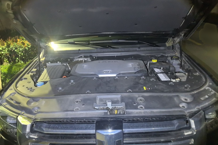 Tank 500 2022 immagine di auto #22