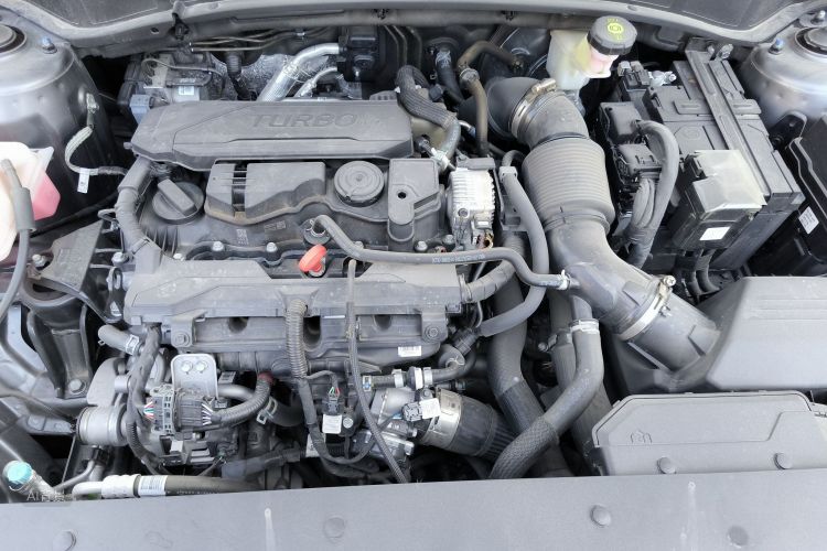 Kia Sportage 2025 immagine di auto #22