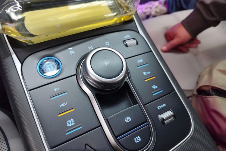 BYD Destroyer 05 2024 imagen de coche #22