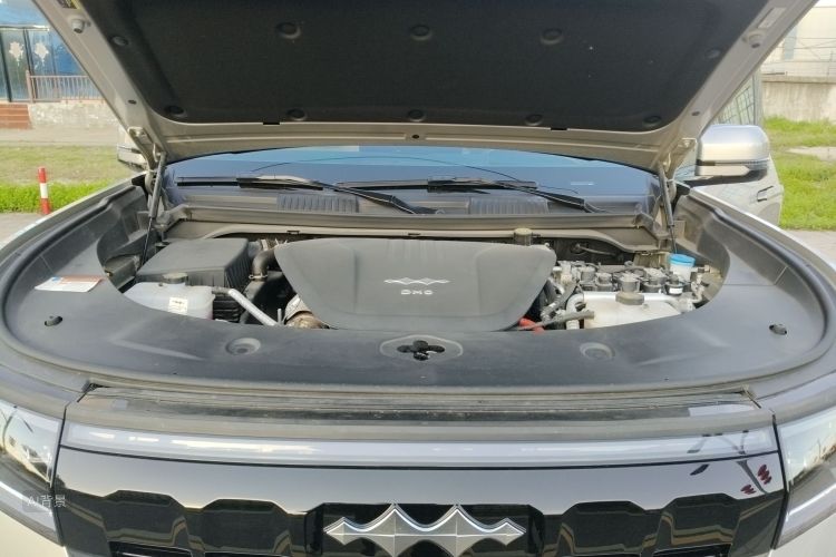 FangChengBao Leopard 8 2024 immagine di auto #22