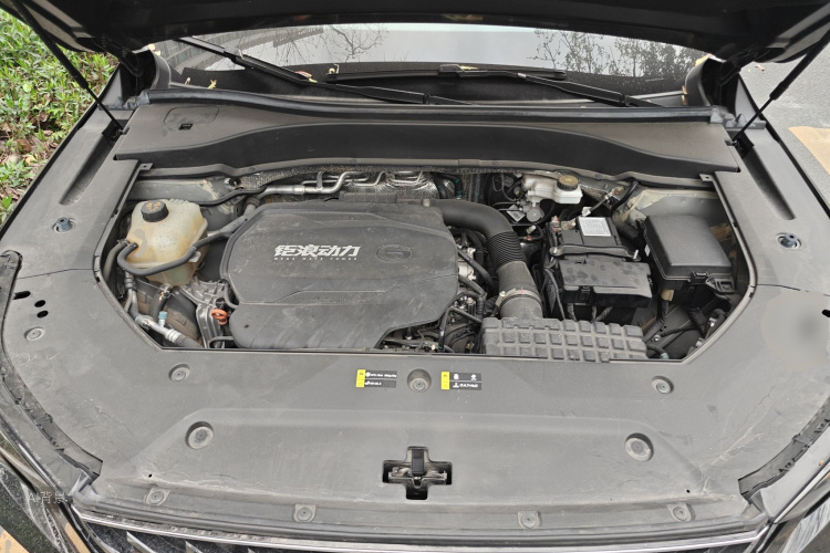 GAC Trumpchi GS8 2022 car image #22