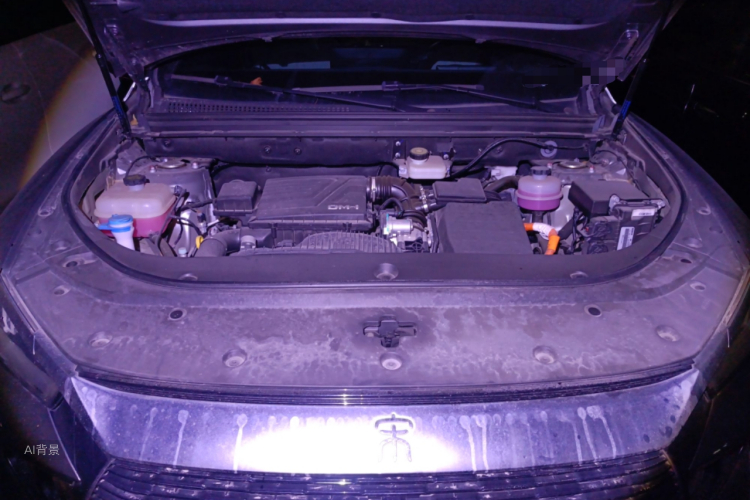 BYD Song Pro New Energy 2023 car image #22