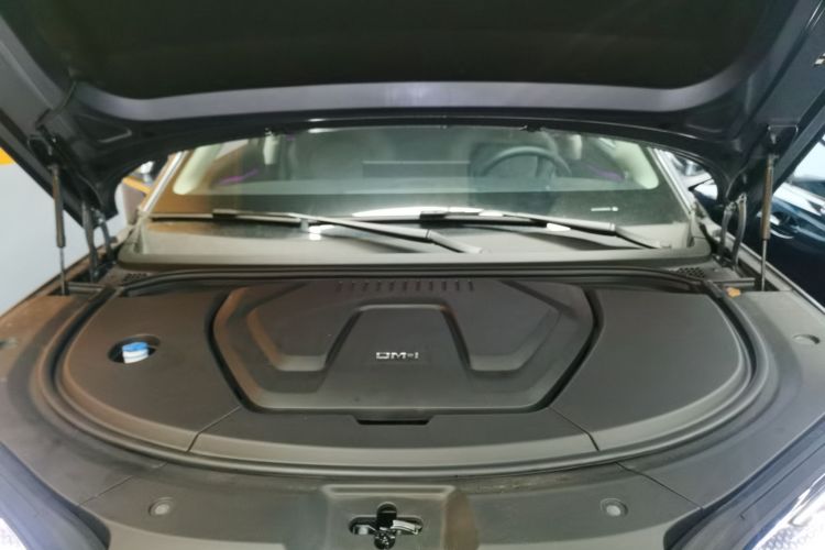 BYD Sea Lion 07 DM-i 2025 car image #22