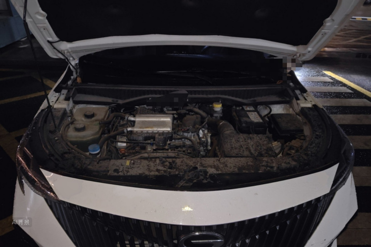 GAC Trumpchi GS3 2023 #22 GAC Trumpchi GS3 2023 car image #22