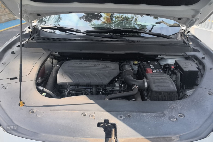 T5 EVO 2021 car image #22
